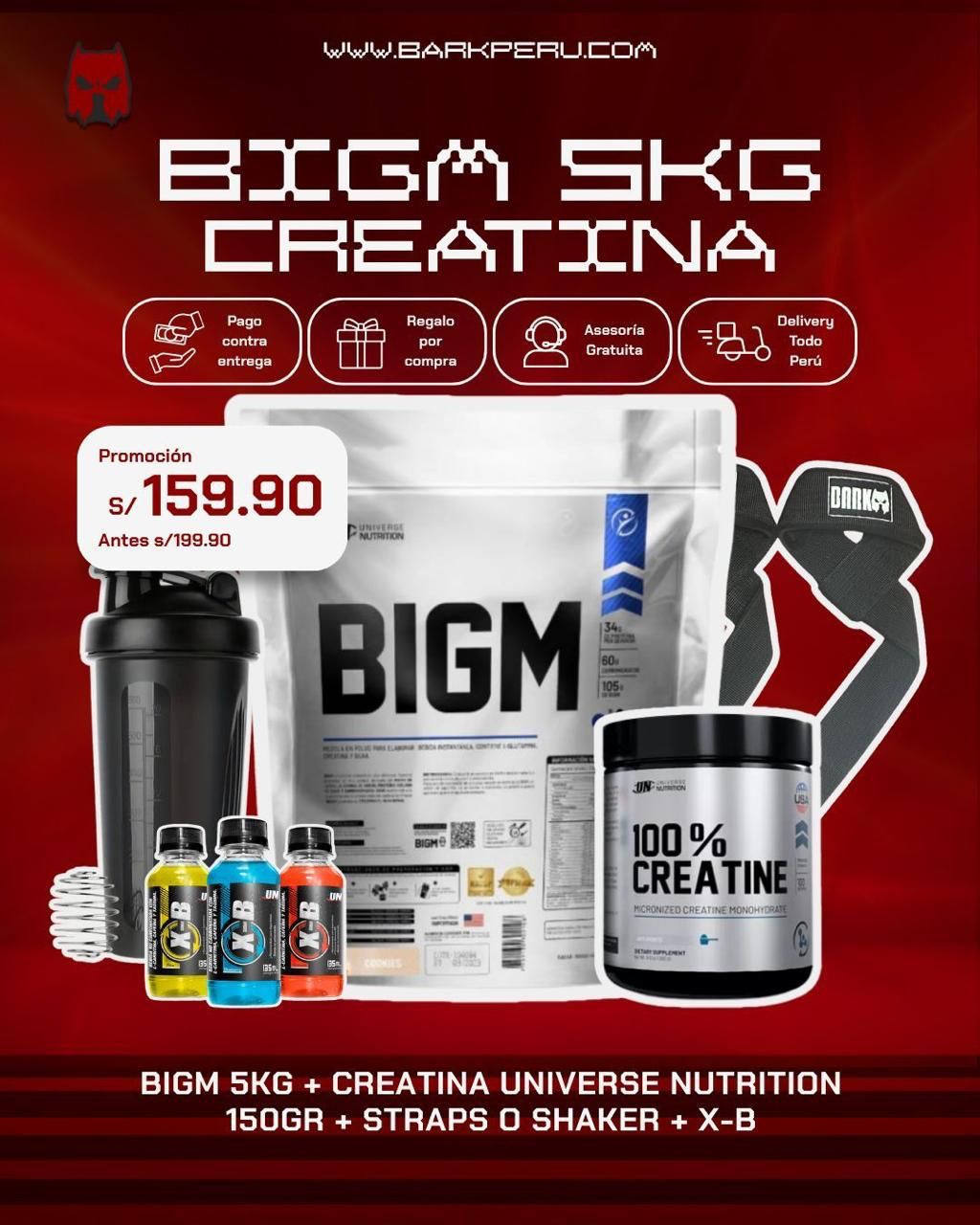PROMOCIÓN BIGM 5KG - CREATINA UN 150G - SHAKER O STRAPS - 3 XB